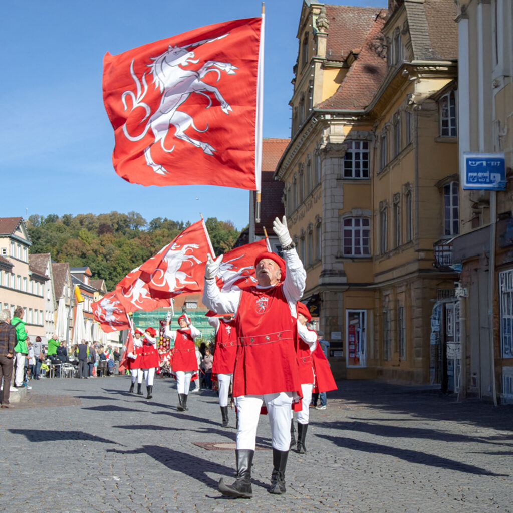 Fahnenschwinger_Slider2