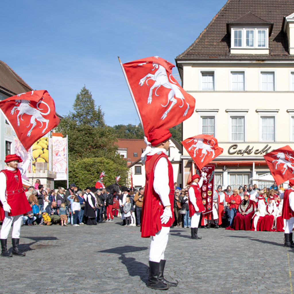 Fahnenschwinger_Slider8